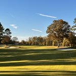 Photo by Bill Bergin, ASGCA (@bergingolf)