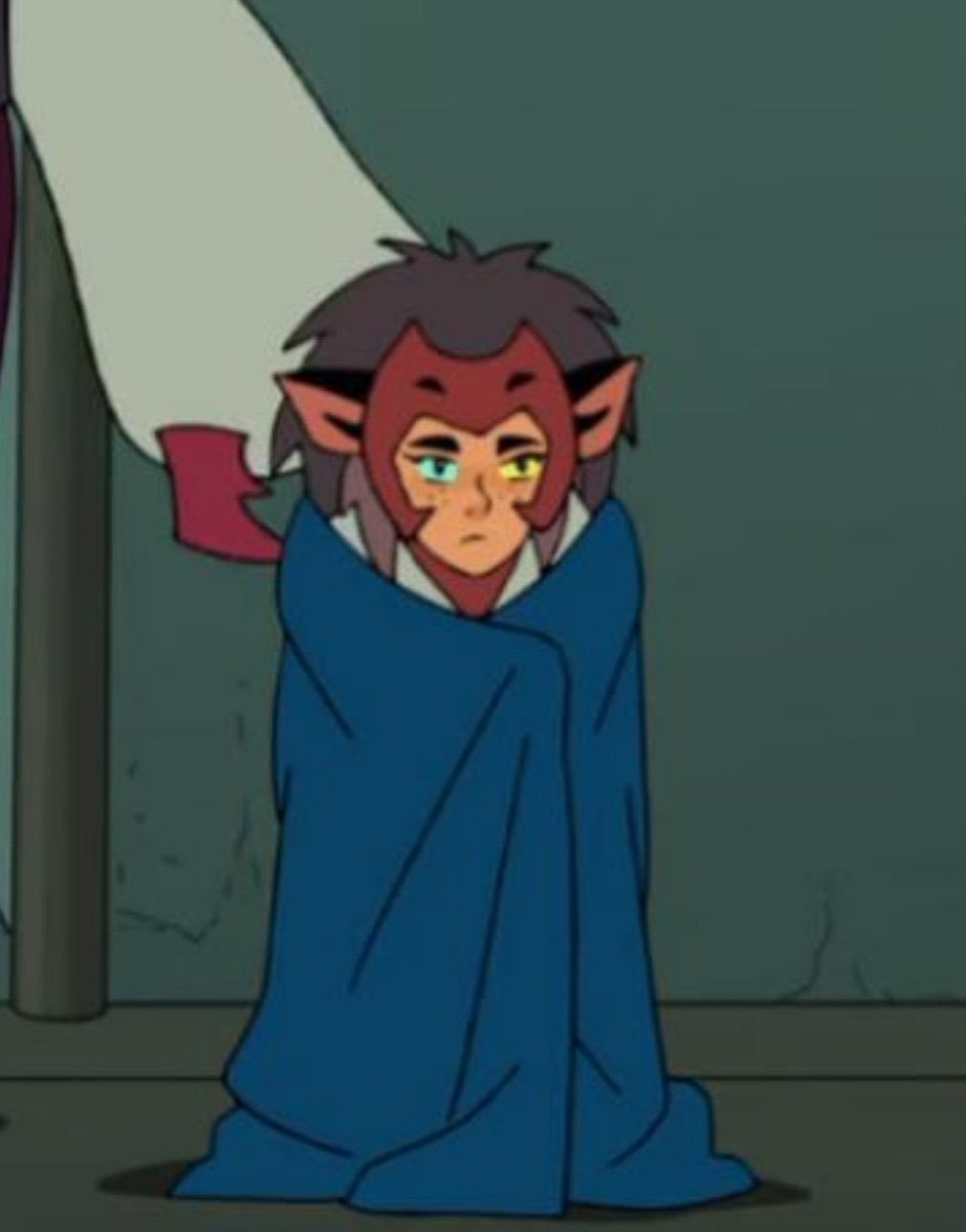 etherian_kid's tweet photo. thank you she-ra for inventing catra https://t.co/X0DHCTRtfj