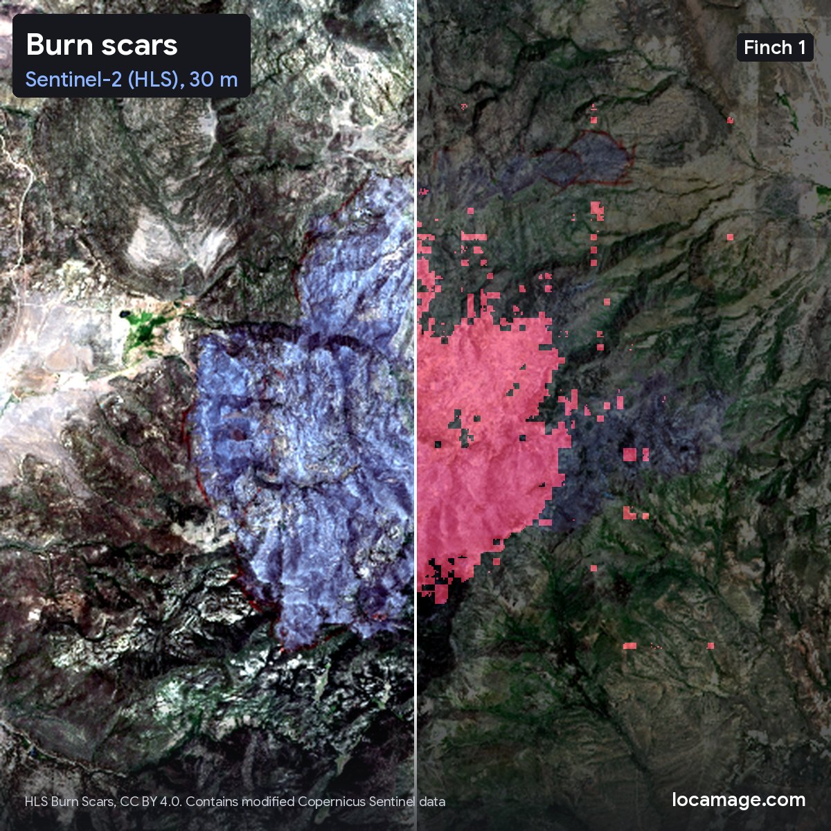Locamage's tweet photo. Day 2 of Finch 1: what it sees.

Land cover in France, buildings in Khartoum, roads and roofs around the Chesapeake Bay, and a wildfire scar in the US, from 20 cm aerial photos to 30 m satellite imagery.

Every map comes from one frozen model and a single linear layer. https://t.co/ld8tkryKh2