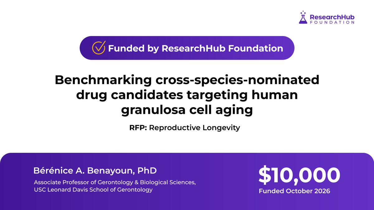 ResearchHubF's tweet photo. Can existing drugs be repurposed to target ovarian aging?

We just funded a proposal by @BBParis1984, Associate Professor at @uscleonarddavis, to test leading candidates directly in human ovarian cells. 🧵 https://t.co/cMZ5JOYK2D