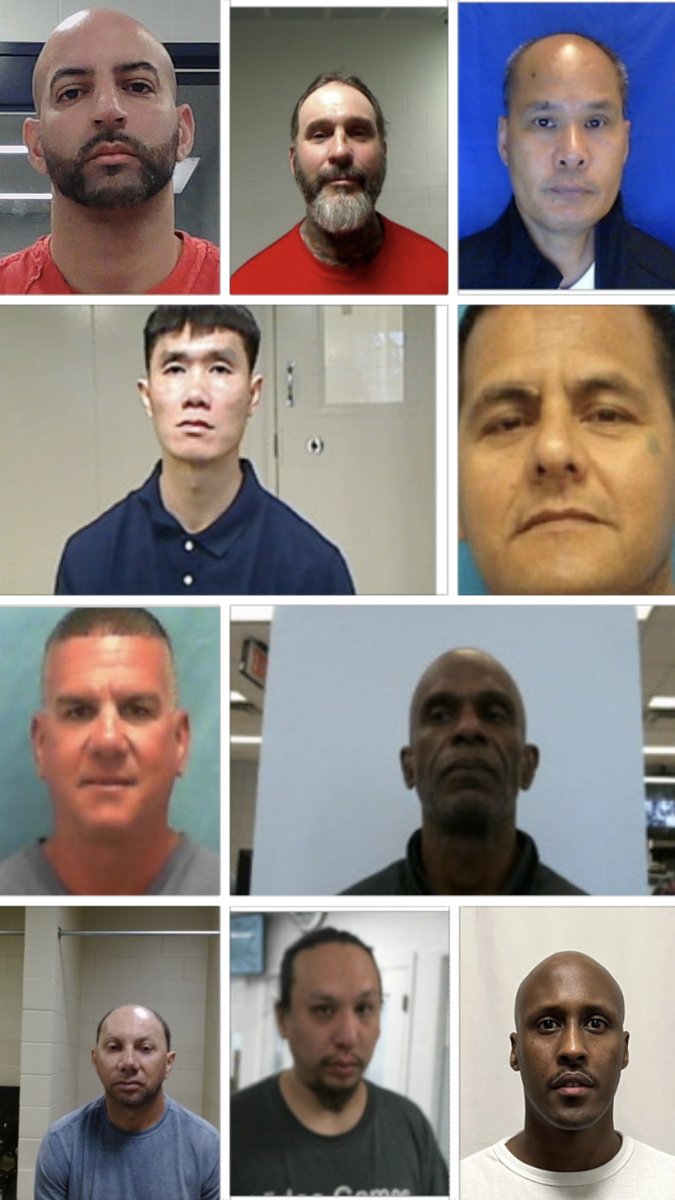 BillMelugin_'s tweet photo. NEW: In wake of 60 Minutes segment on ICE's deportations to third party countries, DHS has released a list of some of the most egregious illegal aliens they've removed to third party countries because their own countries wouldn't take them back, including murderers, pedophiles, and rapists. Via DHS, some include:

Yosmel Luis Palomino Galan, an illegal alien from Cuba, deported on August 15, 2025. His criminal history includes convictions for two counts of premeditated murder with a deadly weapon in Florida.

Roberto Mosquera-Del Peral, an illegal alien from Cuba and Latin Kings gang member, deported on July 14, 2025. His criminal history includes convictions for first-degree premeditated murder, aggravated battery causing bodily harm or disability, aggravated assault on a law enforcement officer, vehicle theft, andreckless driving in Florida.

Thongxay Nilakout, an illegal alien from Laos, deported on May 20, 2025. His criminal history includes convictions for first-degree murder, attempted murder, and second-degree robbery in California.

Tuan Thanh Phan, an illegal alien from Vietnam, deported on May 20, 2025. His criminal history includes convictions for first-degree murder and second-degree assault in Washington.

Jesus Munoz-Gutierrez, an illegal alien from Mexico and Brown Pride Aztecas gang member, deported on May 20, 2025. His criminal history includes a conviction for second-degree murder in Florida.

Jose Manuel Rodriguez-Quinones, an illegal alien from Cuba, deported on May 20, 2025. His criminal history includes convictions for first-degree murder with a weapon, firearm possession by convicted felon, possession of paraphernalia, cocaine trafficking, and arson in Florida.

Orville Isaac Etoria, an illegal alien from Jamaica, deported on July 14, 2025. His criminal history includes convictions for murder and robbery: forcible armed theft with a deadly weapon in New York.

Luis Vieira Andrade, an illegal alien from Cape Verde, deported on August 15, 2025. His criminal history includes convictions for rape of a child with force and assault and battery of a child under 14 in Massachusetts

Dung Tien Nguyen, an illegal alien from Vietnam, deported on July 14, 2025. His criminal history includes convictions for indecent or lewd act with a child under 16 andsecond-degree rape in Oklahoma.

Zakaria Farah Abdi, an illegal alien from Somalia, deported on August 15, 2025. His criminal history includes convictions for second-degree murder while committing a felony and receiving stolen property in Minnesota.