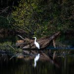 Photo by Today In Nature (@TodayInNature)