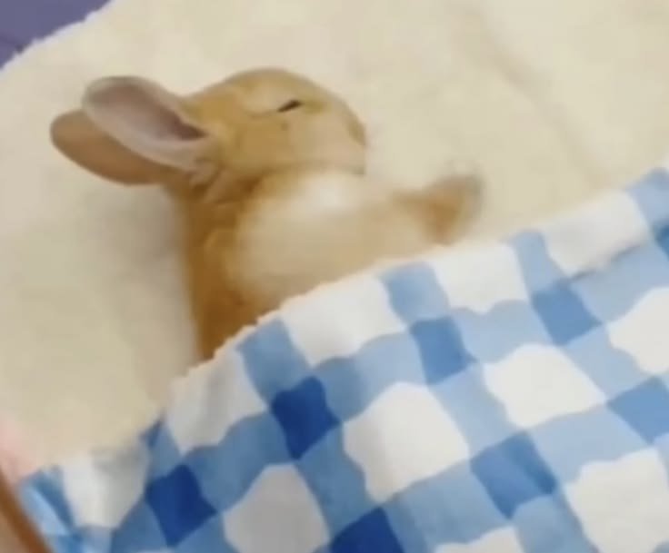 Crisoffvk's tweet photo. este soy io 5 min antes de que mi clase empiece https://t.co/peRf5cQcw2