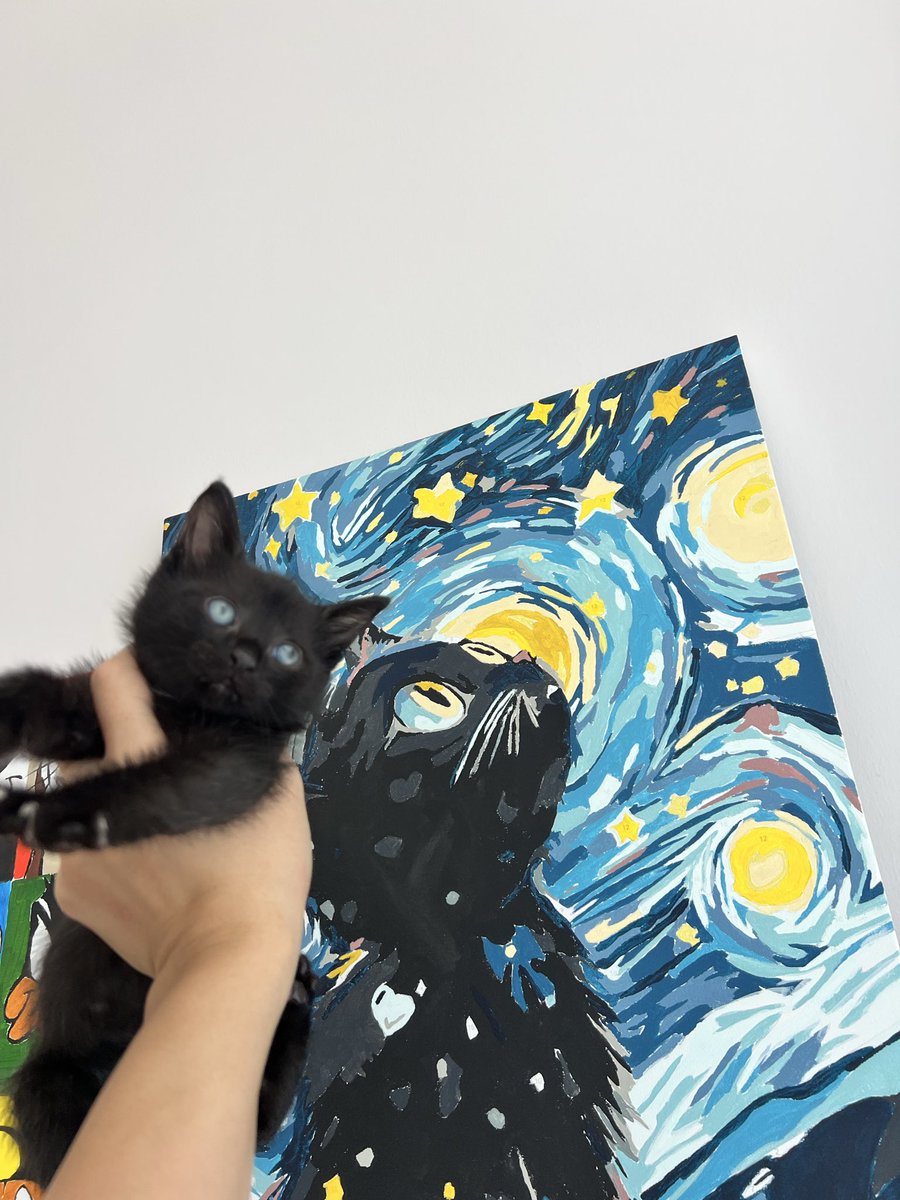 nebuiay's tweet photo. @patiarkadas @pipetcat Bir erkek bir dişi yaklasik iki aylıklar  teması çok seven kucak kedileri . gönül ister ki onları ayırmadan bir yuva bulmak ama mecbur kalırsam ayrı ayrı da verebilirim . Yaş ve kuru mamayla besleniyorlar .kum eğitimli kısırlaştırma ve takip şartıyla sahiplendiriyorum . İstanbul https://t.co/LBJcCiZnGa