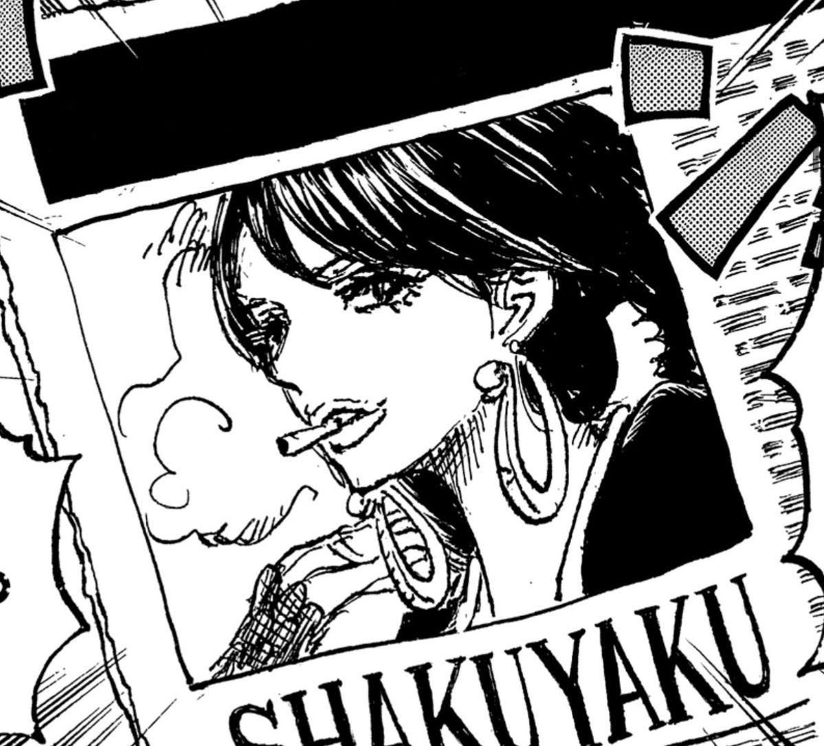HauntingUrHouse's tweet photo. shakky the world is not ready to see your beauty animated next year https://t.co/oMzRNe7esF
