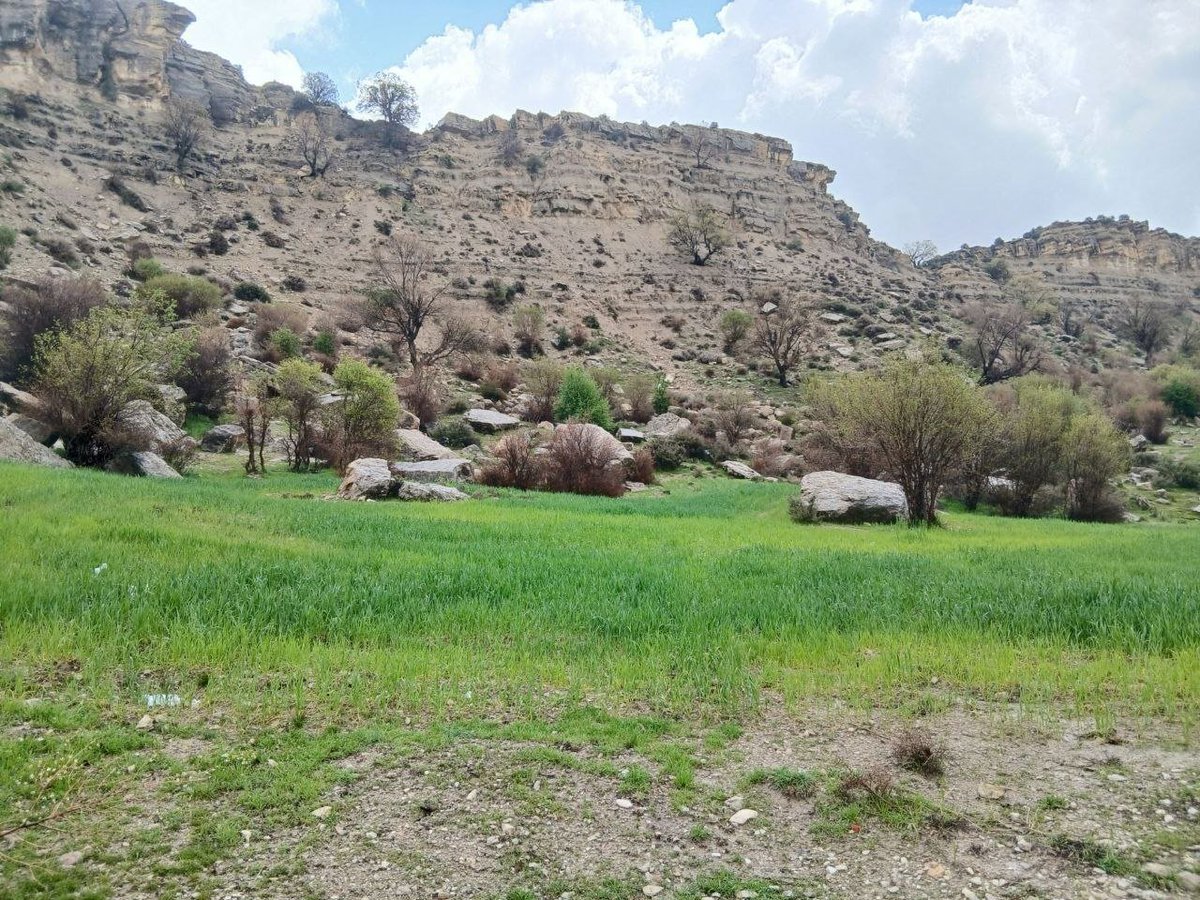 Mersanaaab tweet picture