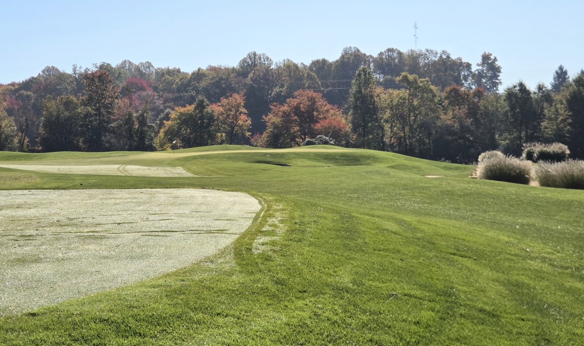 FromTheProShop's tweet photo. No aeration.
No leaves.
https://t.co/sYUT7WvFq7 https://t.co/IwxCV3KQNQ