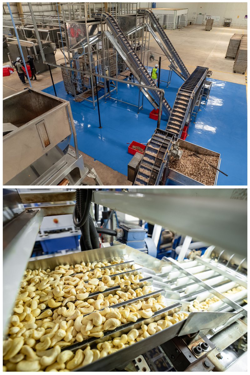 BOAD_official's tweet photo. Ce projet prévoit :
▪️ 5 unités de transformation de noix brutes de cajou, d'une capacité nominale annuelle totale de 100 000 tonnes ;
▪️ 1 unité d'extraction d'huile de coque, d'une capacité annuelle de 20 000 tonnes. https://t.co/74dnOM4klF
