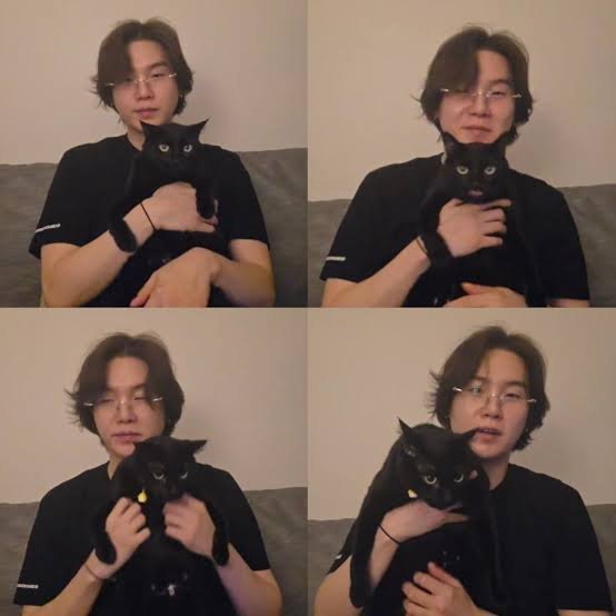 myyouwithjk's tweet photo. min yoongi : cat dad first , global pop star second https://t.co/kG6WJbDrNy