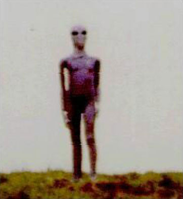 AlienArchiveX's tweet photo. A photo of a Tall Grey in a jumpsuit with a crescent insignia circulated online in the 2000s. By 2013, it was linked to Argentina. Similar reports describe tight-fitting suits with crescent or triangle insignias.
All images: https://t.co/LtKBiYKobr

#ufotwitter #aliens #ufos #UAP https://t.co/oAkrpwtfMW