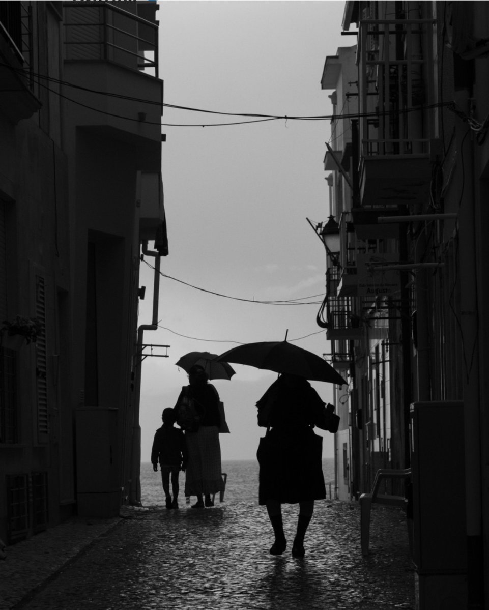 AyhanKomurcu's tweet photo. 📷 Joáo Cabral https://t.co/SwSUZt8Kwm