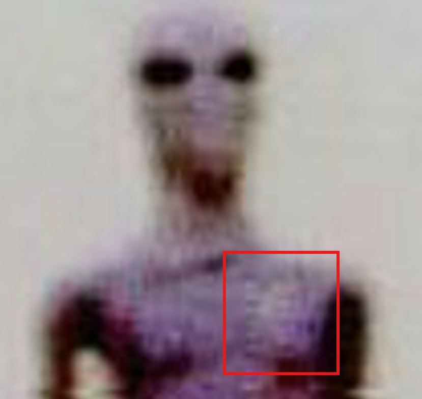 AlienArchiveX's tweet photo. A photo of a Tall Grey in a jumpsuit with a crescent insignia circulated online in the 2000s. By 2013, it was linked to Argentina. Similar reports describe tight-fitting suits with crescent or triangle insignias.
All images: https://t.co/LtKBiYKobr

#ufotwitter #aliens #ufos #UAP https://t.co/oAkrpwtfMW