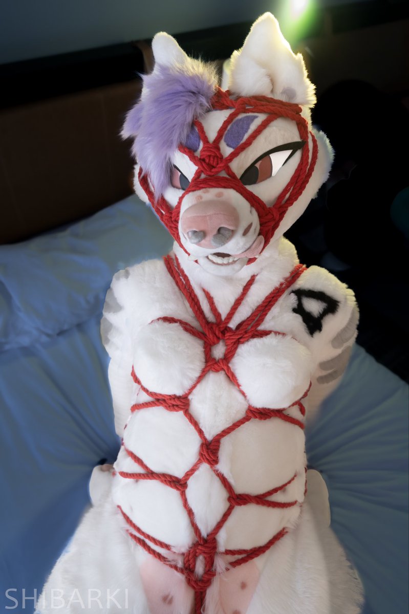 shibarki's tweet photo. Tiddies for tiedUpTuesday https://t.co/EChhFlQQD2