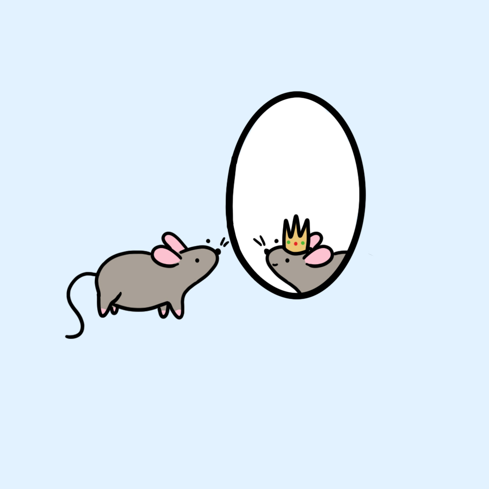Linwailz tweet picture