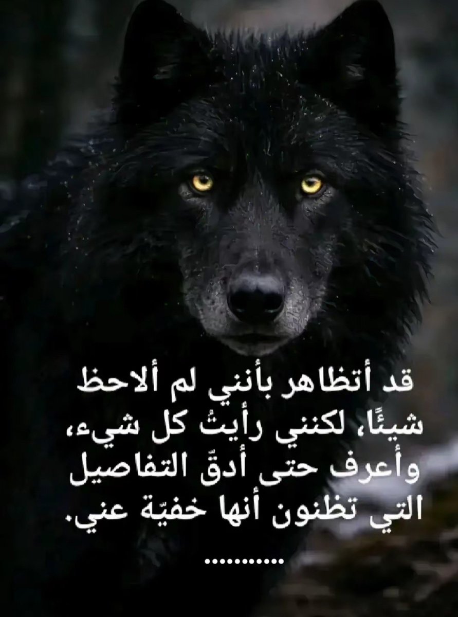 ZainabAlAli_KW's tweet photo. ذئب منفرد 🐺 Sigma https://t.co/iaVArnJiXK