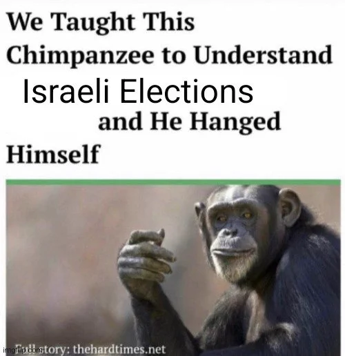 halfsabra's tweet photo. https://t.co/wMkV0xC8o4