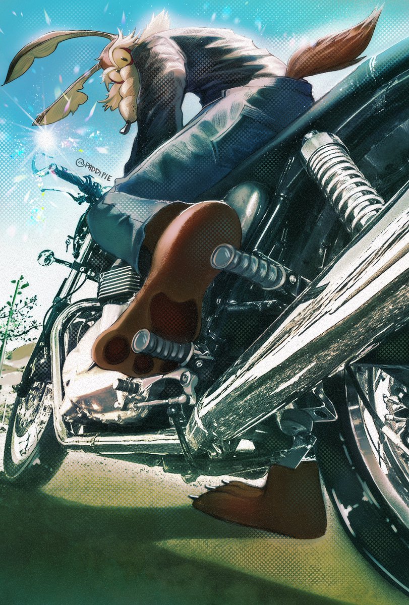 paddi_pie's tweet photo. Wile E. Motorcycle #WileECoyote #coyotevsacme #looneytunesㅤㅤ https://t.co/fBrSB6eHeT