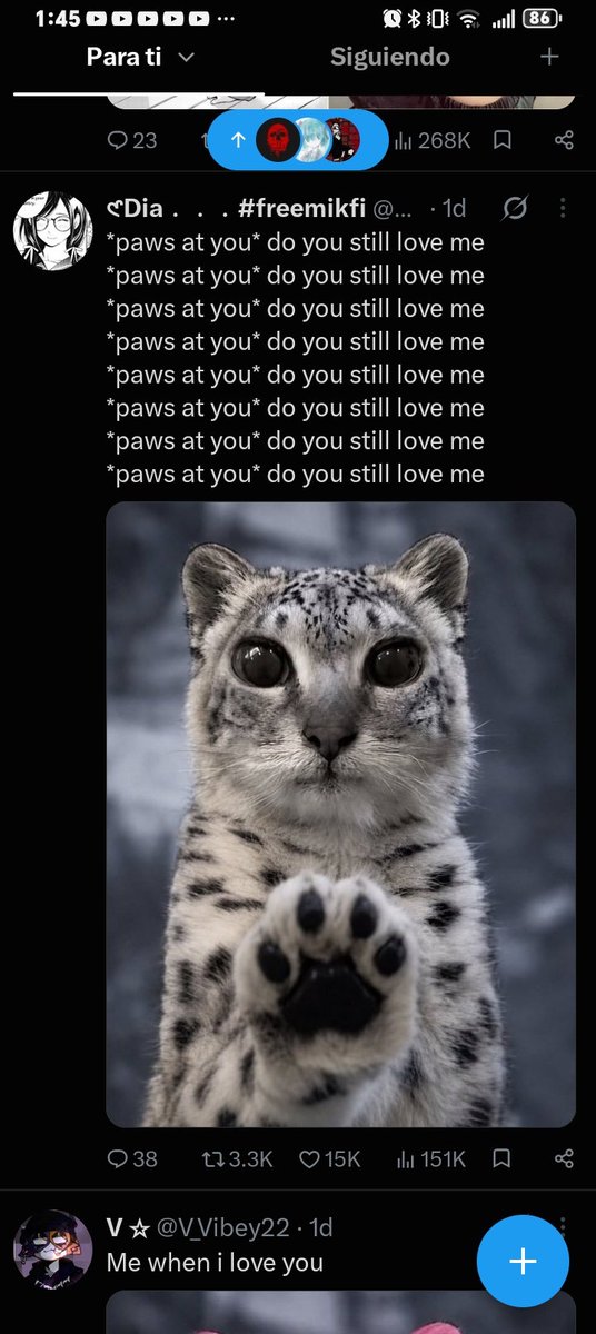 St3llarSam's tweet photo. @dearlcia found these two together... Woah.... https://t.co/95vM6hPr7W