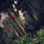 Photo by FTC_CCOCAS (@CCOCAS2)