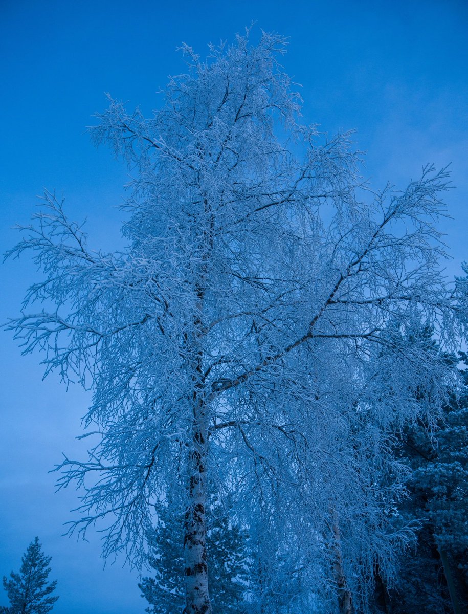 visualsofearth1's tweet photo. Finland https://t.co/iR40enl1Rx