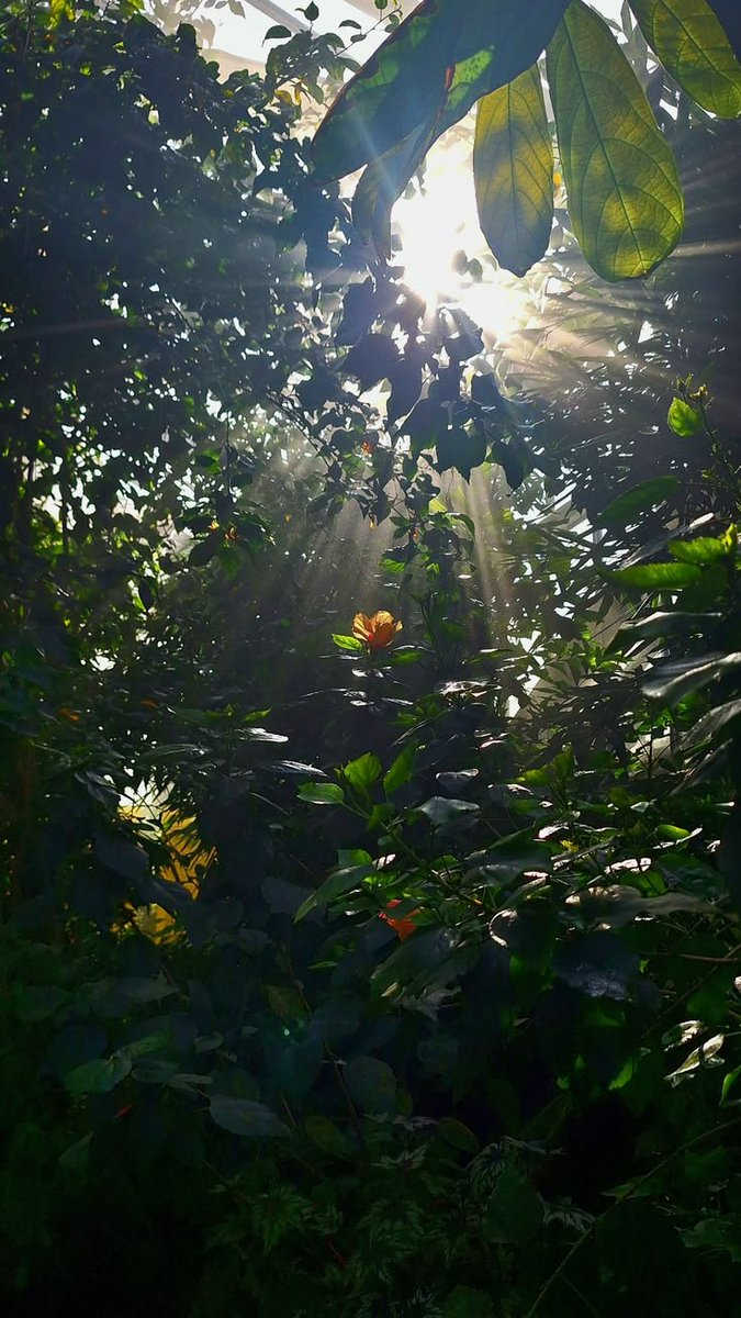 aestheticpost's tweet photo. https://t.co/KXQf97sOWe