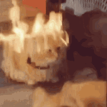 iudexnoob's tweet photo. Imagine Neuvicat almost getting a heart attack because he sees the fire's reflection on Furicat 😭 https://t.co/eSjb1V90Qm