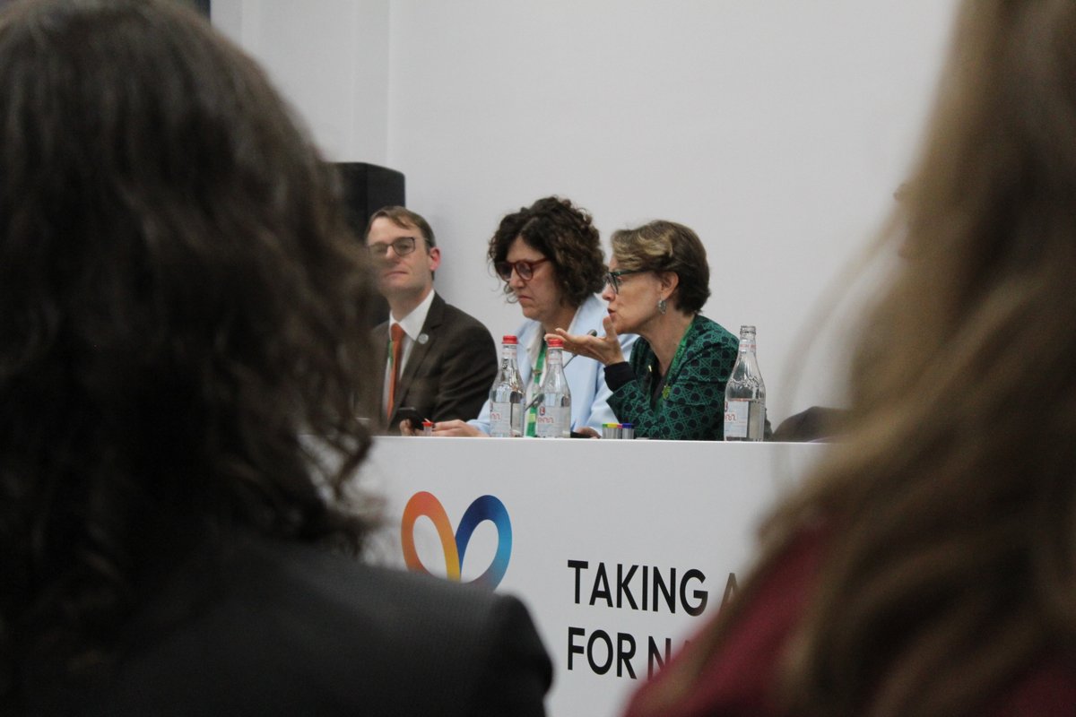 RedLAC1's tweet photo. #COP17, Renée González, presidenta de RedLAC y directora ejecutiva de @FondoMexicano  destacó  el papel de los fondos ambientales para acceder a financiamiento innovador, gestionar recursos con transparencia y convertir inversiones en acciones concretas para la biodiversidad. https://t.co/vXXozxRVq9
