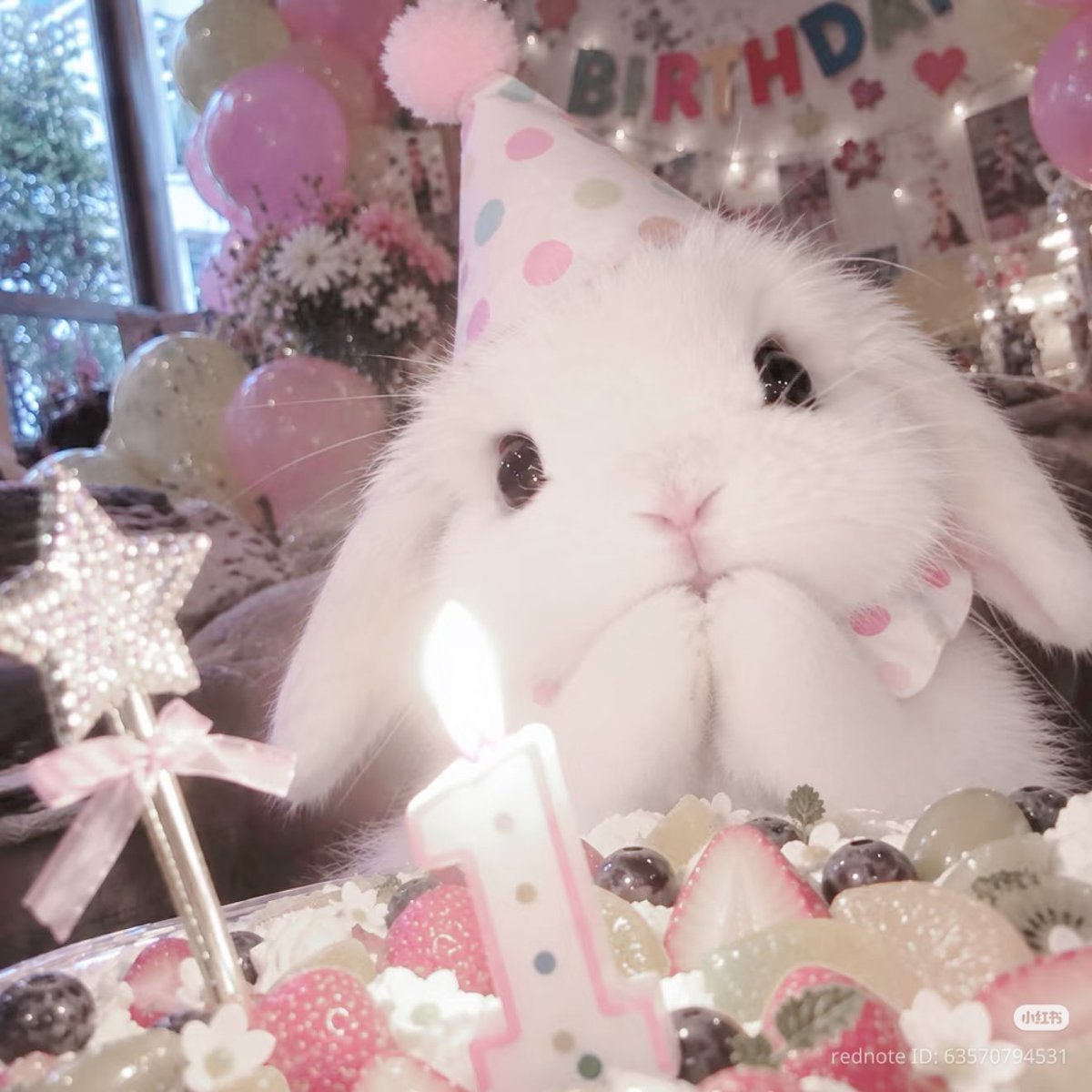 yumiisokay's tweet photo. Birthday bunny ݁ ˖Ი𐑼˚.Ⰶ⋆𐙚 ̊.݁ https://t.co/WXVlNlWNj1
