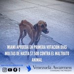 Photo by Venezuela Awareness (@VenezuelaAF)