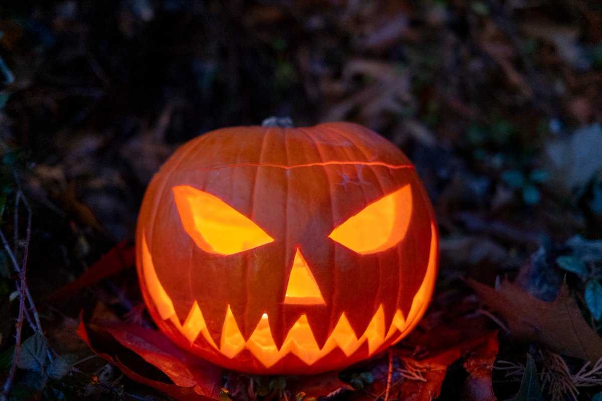 Complex's tweet photo. This year, Halloween falls on a Saturday, and it won't happen again until 2037.

That means we'll have to wait another 11 years for Halloween to land on a Saturday night.

📷:Getty https://t.co/JCaKKgzZaP