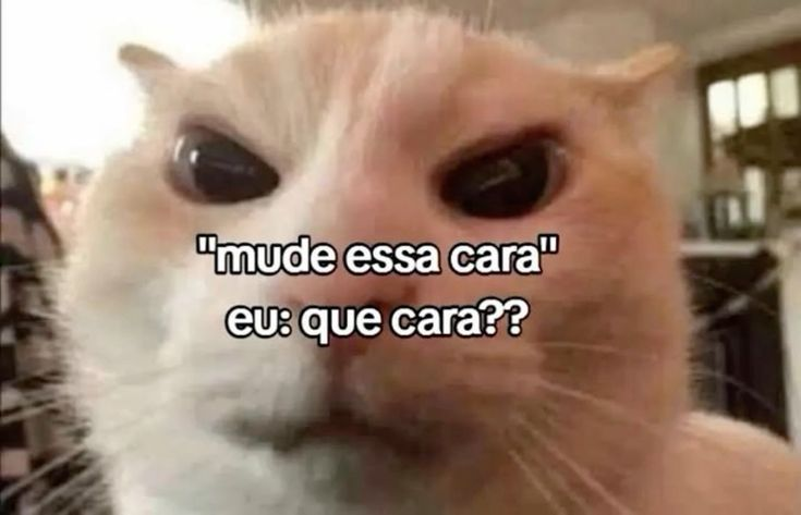 soubrisadassa's tweet photo. https://t.co/W5ihYZSWIX