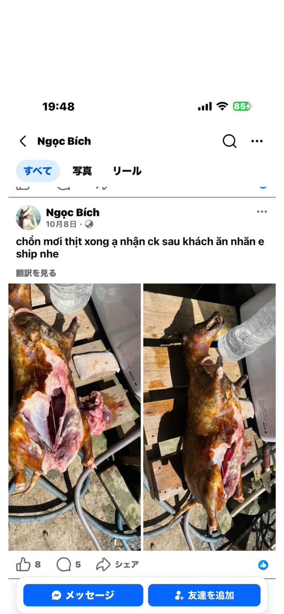Izumi_Sunagawa's tweet photo. 【閲覧注意】

Facebookのベトナム市場というグループアカウント。

管理者は大阪在住。
メンバーは岡山、京都、奈良など、
日本各地にいるようだ。

普通に販売します的な投稿なのだが、
これ、犬だよな？違う動物か？

犬だとして、販売して問題ないのか？

野良犬なんか殆どいないのに、
どこで捕まえたんだ？