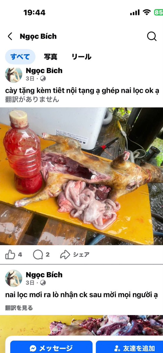 Izumi_Sunagawa's tweet photo. 【閲覧注意】

Facebookのベトナム市場というグループアカウント。

管理者は大阪在住。
メンバーは岡山、京都、奈良など、
日本各地にいるようだ。

普通に販売します的な投稿なのだが、
これ、犬だよな？違う動物か？

犬だとして、販売して問題ないのか？

野良犬なんか殆どいないのに、
どこで捕まえたんだ？