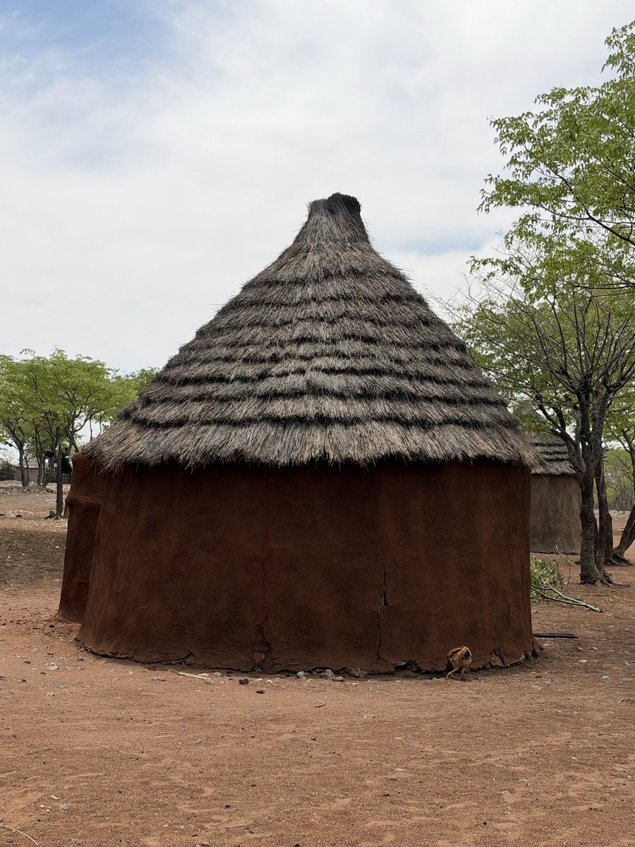 MunchPudding's tweet photo. #PostcardFromHimbaVillage When they are married (to a man who can have many wives), the women have to wear this on their heads! The have many animals including goats 🐐 The Chief’s house - they are semi-nomadic but have lived on this spot for 10 years 🇳🇦 https://t.co/lQuZaTYMjx