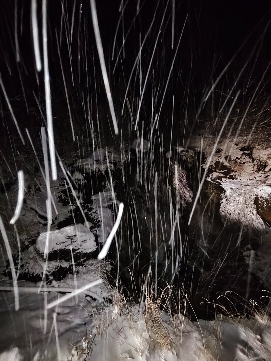 norikura_org's tweet photo. 【乗鞍大雪渓WebSite】《長野側県道乗鞍岳線情報-初雪》本日10月28日(水)6時現在
※三本滝:雪0℃
※昨晩からの降雪で初雪観測。昨年と同日で平年より16日遅い記録
〈積雪状況〉
かもしかゲレンデ雪化粧
標高2000mの摩利支天より積雪
標高2200mの冷泉小屋付近で積雪1cm
※三本滝以降は通行止の可能性 https://t.co/B7E1HD4uEY