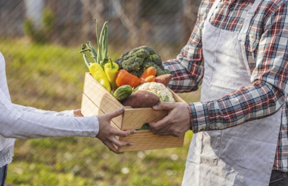 JPhilippebrun's tweet photo. [#Ess - Transition] https://t.co/Bxwij5muvN,  @CeliaSzymczak : Les #Amap, une solution pour la transition agricole ? ➡️ https://t.co/peSEnoXZwm 🥦🥕 #Agri cc @miramap2 @Agri_Gouv ⤵️ https://t.co/h8Dat24Im7