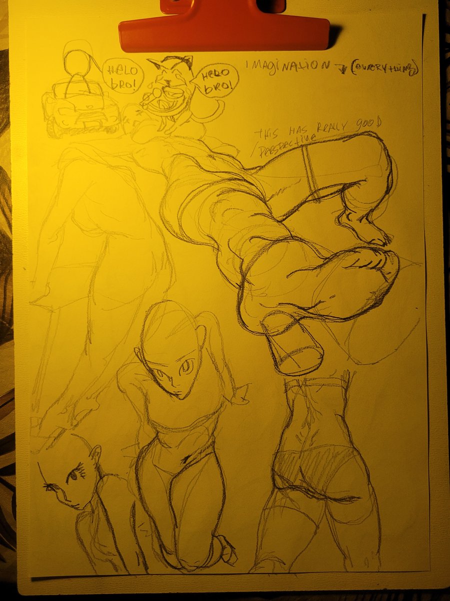 davisousakii's tweet photo. trying from imagination now
#art #drawing #practice #yellow #cat #anatomy #studying https://t.co/WRjqbMoths