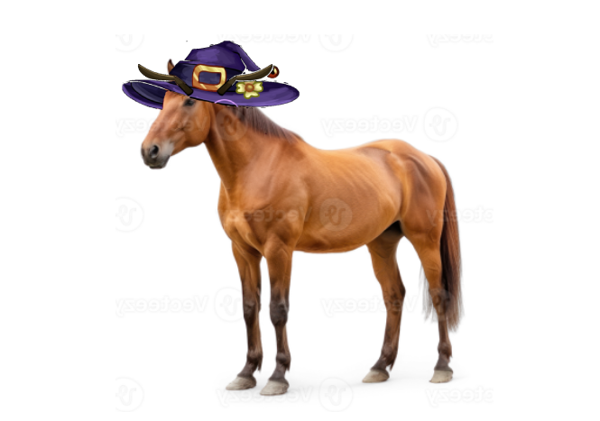 larissoupy's tweet photo. @Starrabee_ borse costume https://t.co/Zc9rpiIcOH