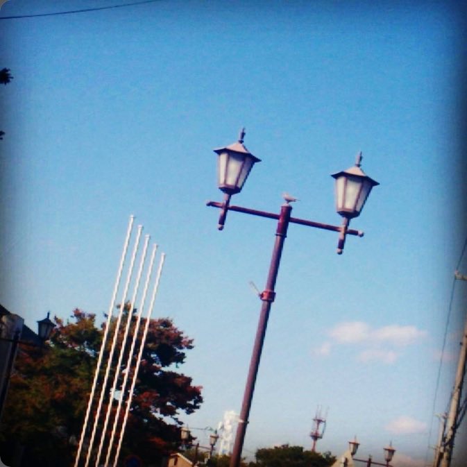 arith_tica's tweet photo. 今日は11℃なうえ風が強くて寒いけど、
きれいに晴れているので気持ちがいいです

#イマソラ #キリトリセカイ #写真で伝えたい私の世界 https://t.co/xw5OFoHlkc https://t.co/NcsawFfSNE