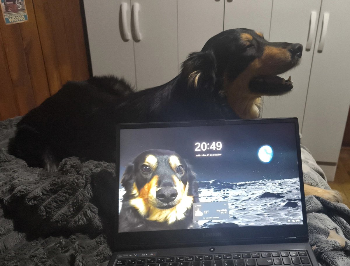 iluvm3ow's tweet photo. mi fondo de pantalla más piola :3 https://t.co/WbGMFdMG4t