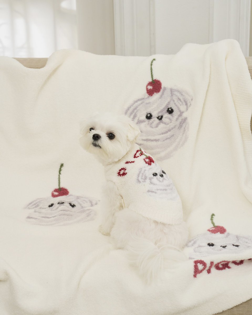 USAGIONLINE's tweet photo. \ あなたの愛犬がUSAGI ONLINEに登場するかも！/

HOW TO JOIN
①USAGI ONLINEの公式Xをフォロー
②USAGI ONLINEのアイテムを取り入れて愛犬を撮影
③ #USAGIDOGDAY をつけて投稿
※犬種、体重、着用サイズの記載をお願いします。

📅 応募期間　10/28〜11/23

犬ウェアはもちろん、
愛犬とのお揃いスタイルや
USAGI ONLINEのアイテムを取り入れた
お気に入りのDOG SNAPも大歓迎♡

素敵な投稿の中から20名様を選出！
12月公開予定のUSAGI ONLINE特設LPに掲載します🐾

さらに、商品ページや公式SNSなどでご紹介する場合も♡

たくさんのご応募お待ちしております！

▶︎▶︎ https://t.co/TO5b3YbC1P

※投稿いただいた写真は、USAGI ONLINEの特設LP、商品ページ、公式SNS等に掲載させていただく場合がございます。ご了承のうえご参加ください。

#USAGIDOGDAY
