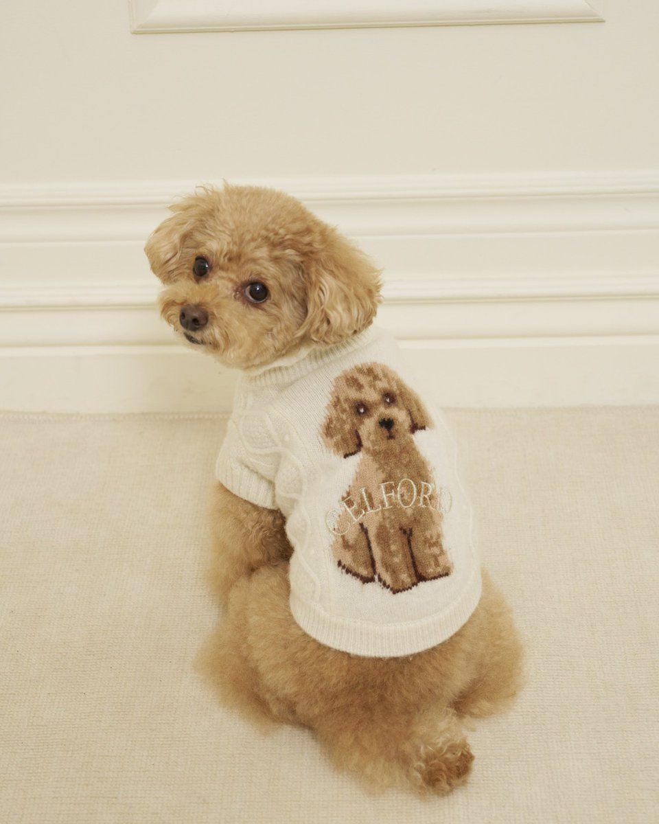 USAGIONLINE's tweet photo. \ あなたの愛犬がUSAGI ONLINEに登場するかも！/

HOW TO JOIN
①USAGI ONLINEの公式Xをフォロー
②USAGI ONLINEのアイテムを取り入れて愛犬を撮影
③ #USAGIDOGDAY をつけて投稿
※犬種、体重、着用サイズの記載をお願いします。

📅 応募期間　10/28〜11/23

犬ウェアはもちろん、
愛犬とのお揃いスタイルや
USAGI ONLINEのアイテムを取り入れた
お気に入りのDOG SNAPも大歓迎♡

素敵な投稿の中から20名様を選出！
12月公開予定のUSAGI ONLINE特設LPに掲載します🐾

さらに、商品ページや公式SNSなどでご紹介する場合も♡

たくさんのご応募お待ちしております！

▶︎▶︎ https://t.co/TO5b3YbC1P

※投稿いただいた写真は、USAGI ONLINEの特設LP、商品ページ、公式SNS等に掲載させていただく場合がございます。ご了承のうえご参加ください。

#USAGIDOGDAY