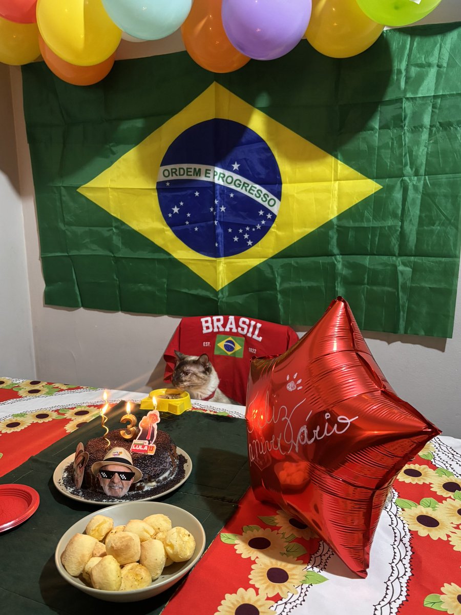 pinkponymary's tweet photo. atingi meu ápice de psicose política dando uma festa de aniversário pra minha gata com tema lula porque eles fazem aniversário juntos https://t.co/ZIyrsuX4be