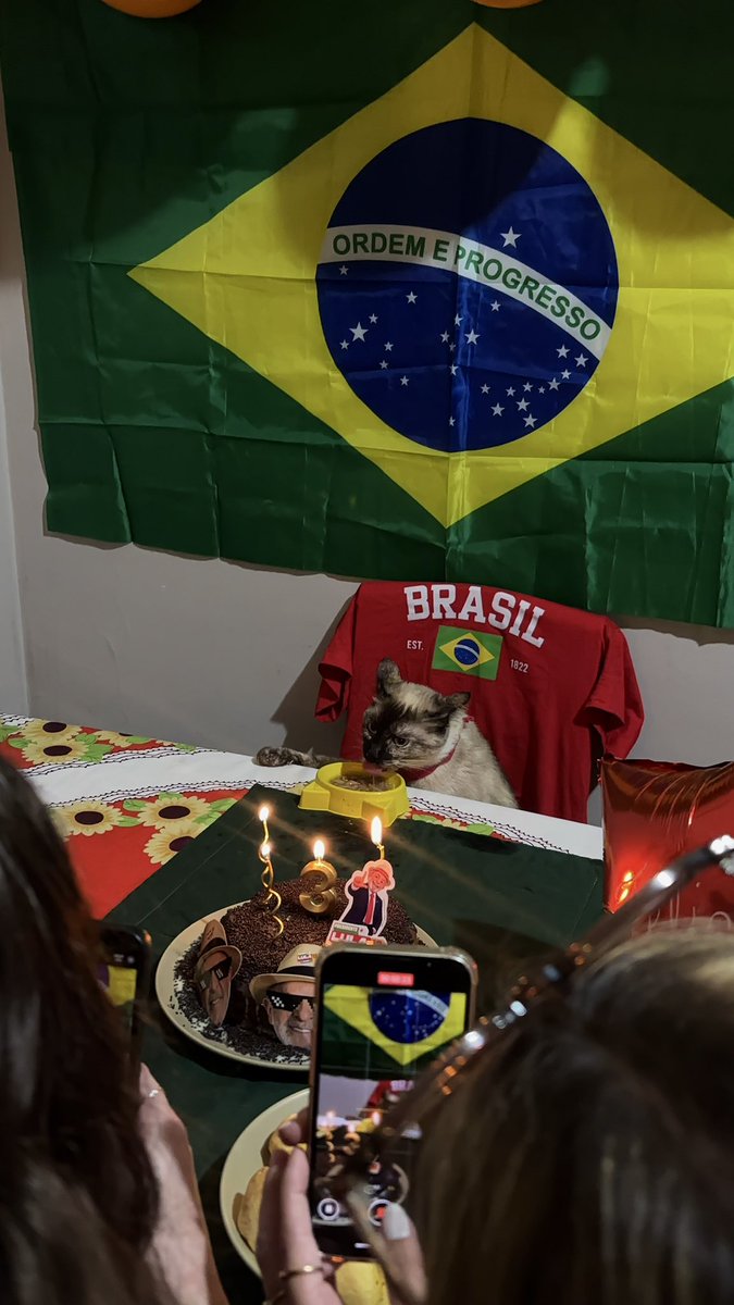 pinkponymary's tweet photo. atingi meu ápice de psicose política dando uma festa de aniversário pra minha gata com tema lula porque eles fazem aniversário juntos https://t.co/ZIyrsuX4be