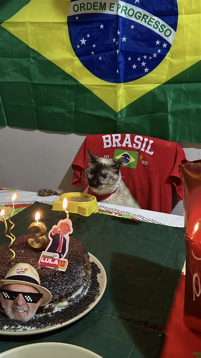 pinkponymary's tweet photo. atingi meu ápice de psicose política dando uma festa de aniversário pra minha gata com tema lula porque eles fazem aniversário juntos https://t.co/ZIyrsuX4be