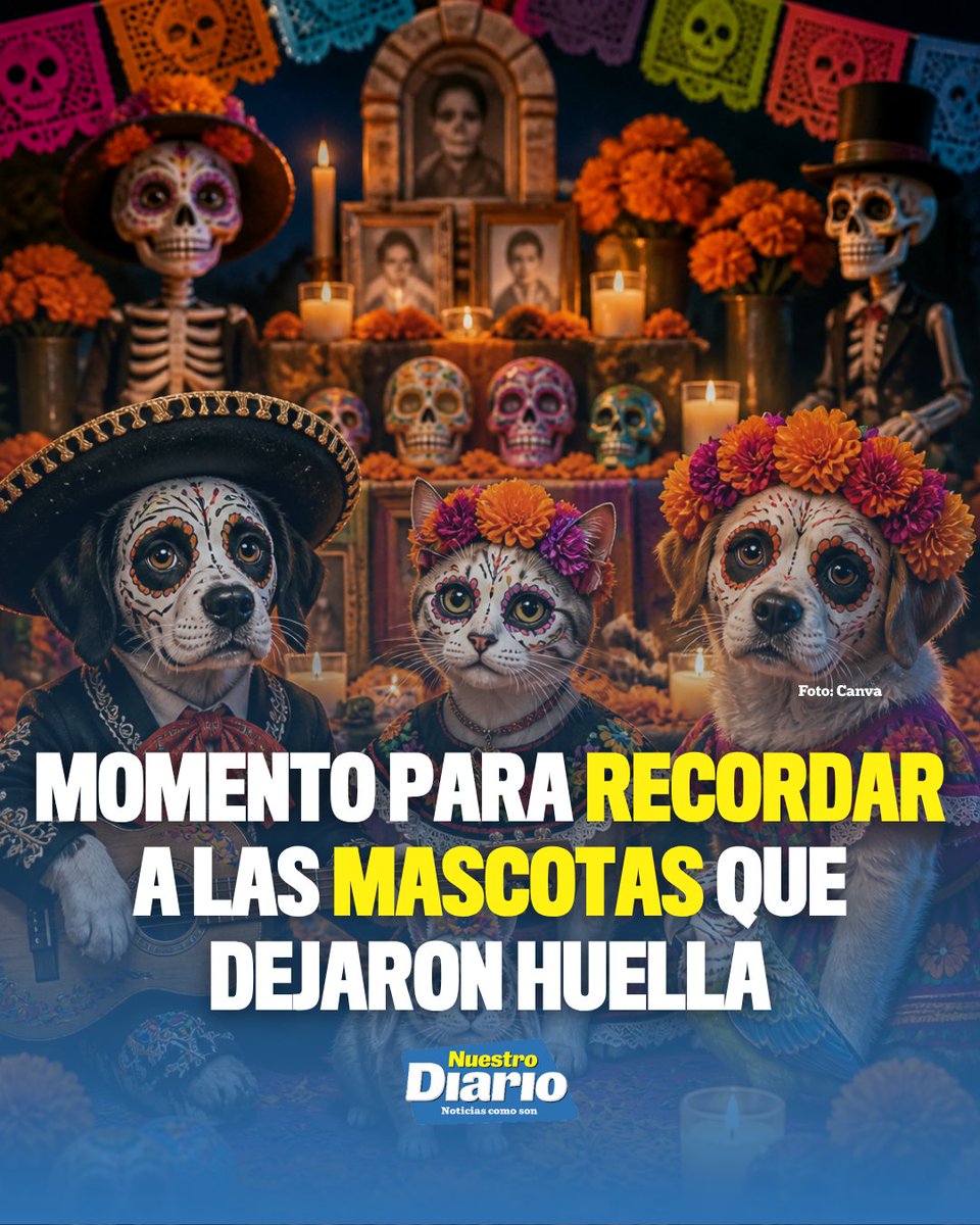 🐾🕯️ MOMENTO PARA RECORDAR A LAS MASCOTAS QUE DEJARON HUELLA 🐾🕯️ Este 27 de octubre, la tradición del Día de Muertos también dedica un espacio a las masco…