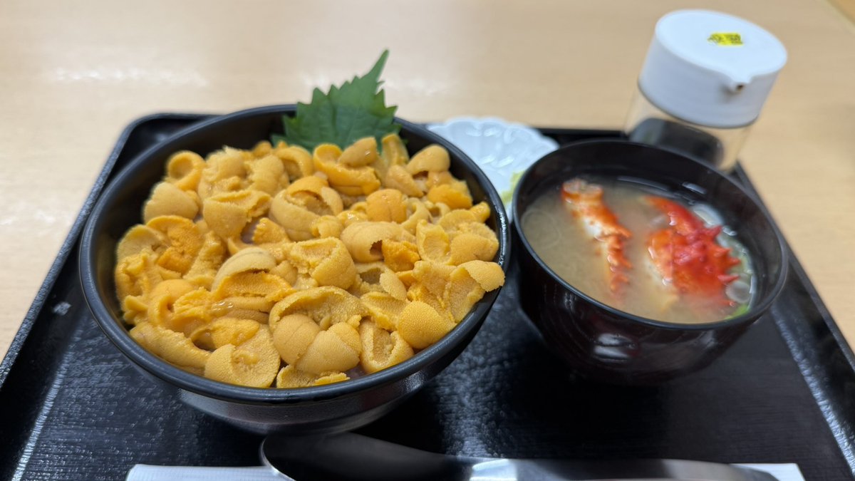 otkcat's tweet photo. 札幌場外市場でウニ丼。美味すぎる https://t.co/jY6maFtRnf