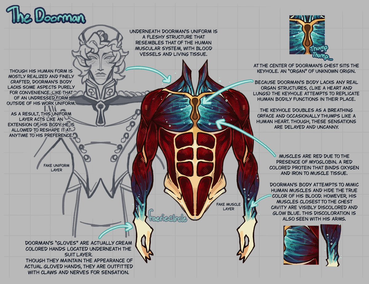 FAERIEClRCLE's tweet photo. some thoughts and HCs about Doorman’s physiology https://t.co/F6cMjHgf8G