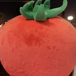 Photo by 株式会社アイアール 公式🍅 (@kitamotoir)