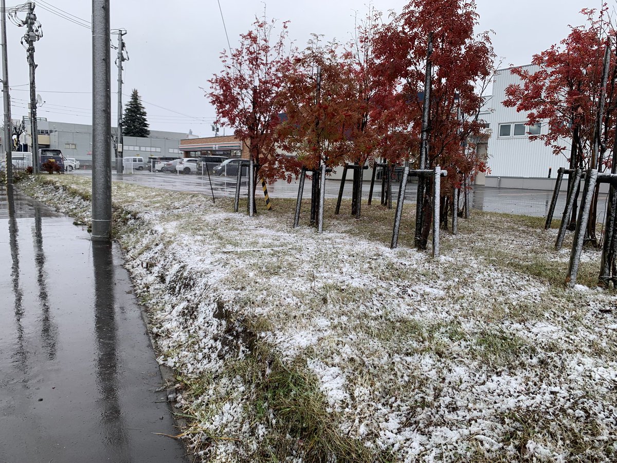 PC_9801_DA_U7's tweet photo. 北海道　旭川市　についに　雪　☃️❄️が降りました🥶 https://t.co/EGWoWckm0i